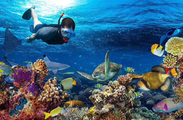 luxury resort in neil island