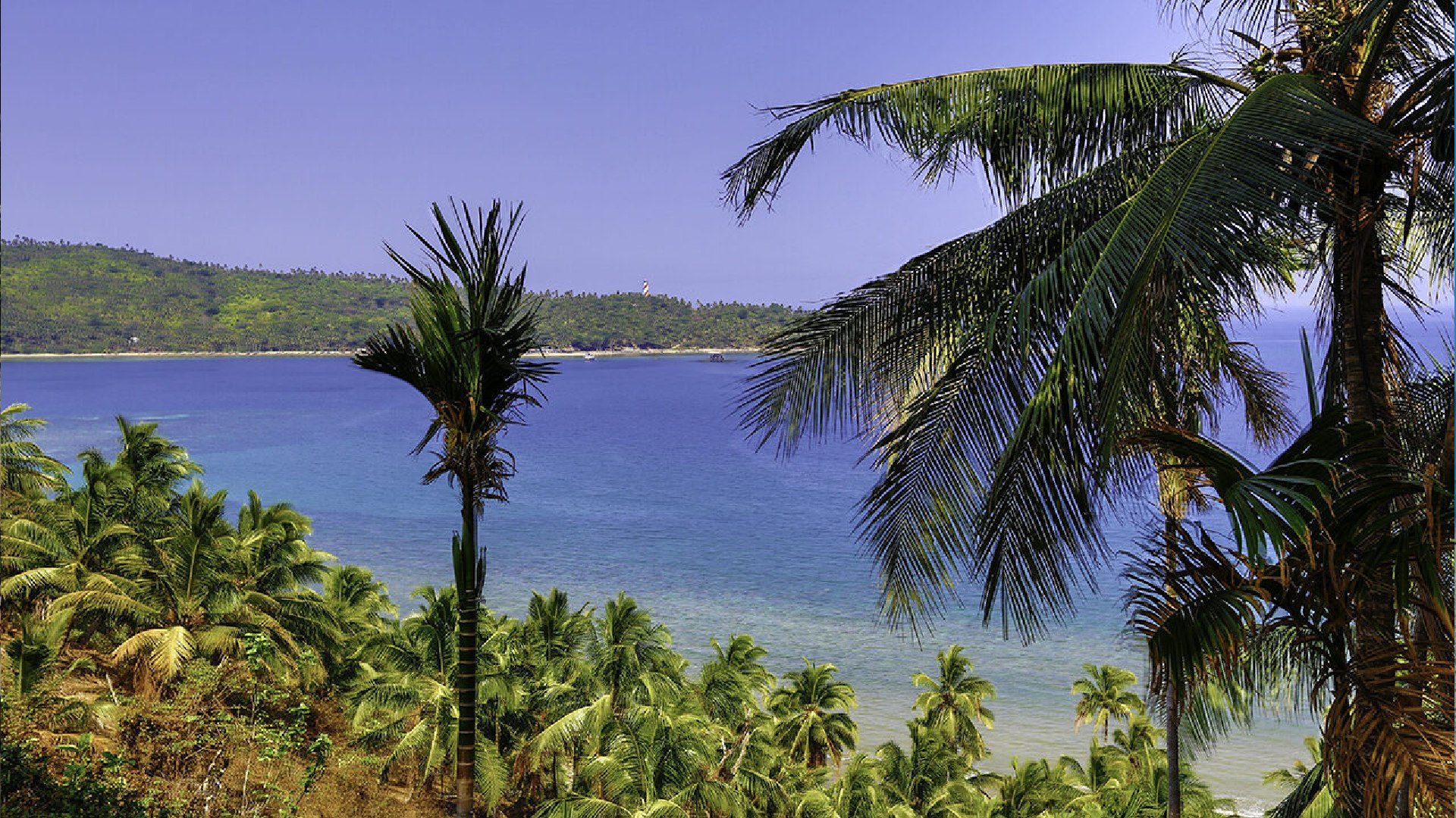 resort in neil island for couples