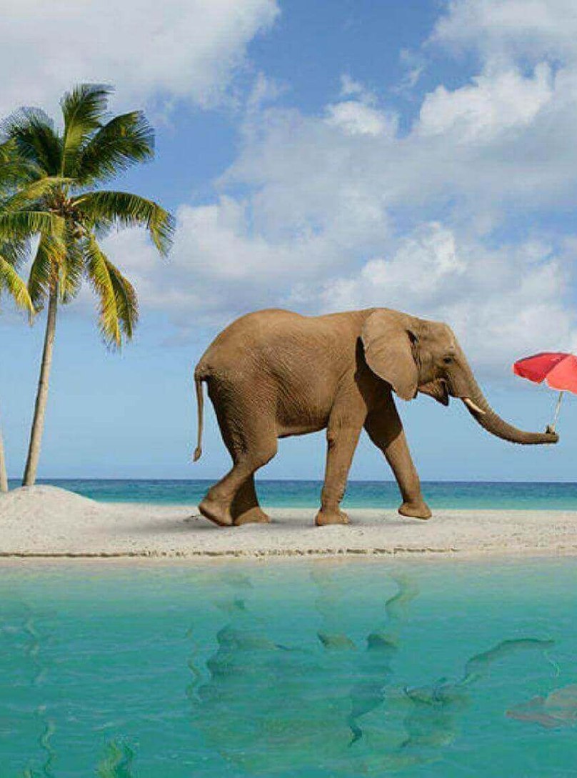 resort in neil island for couples