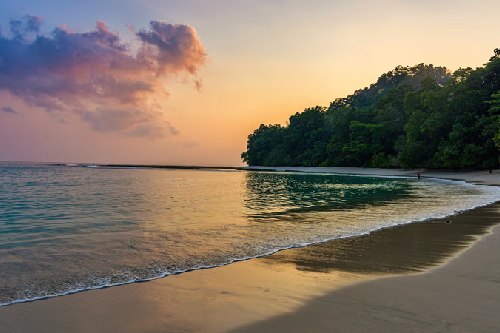 honeymoon neil island tour packages